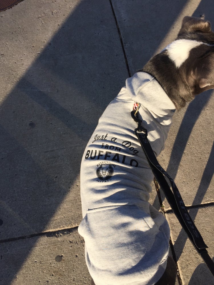 Just a Dog from Buffalo EB- Doggie Hoodie